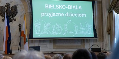 Czy Bielsko-Biała jest przyjazne dzieciom? Co się sprawdza, a co wymaga poprawy...
