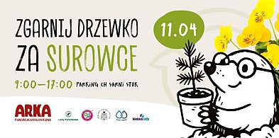 Rozdano już 100 tysięcy sadzonek - czas na kolejne