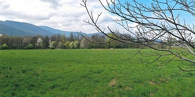 Park zamiast kolejnej zabudowy? Radny pyta o teren przy lotnisku