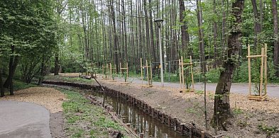 Trwa modernizacja Parku Skarżyńskiego w Bielsku-Białej