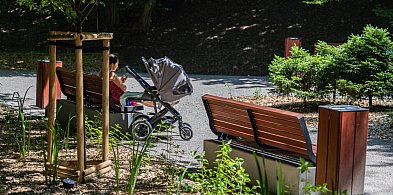 Nowy ogród publiczny przy ulicy Skarżyńskiego już gotowy