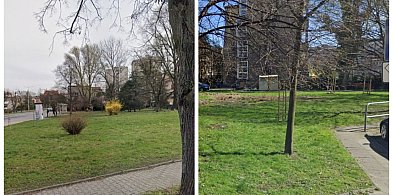 Dwa bielskie skwery do przebudowy i jeden wykonawca