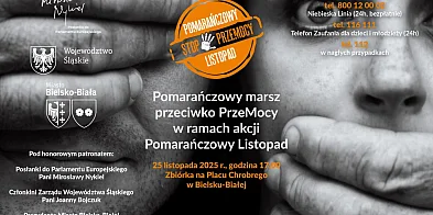 Pomarańczowy Listopad 2025 w Bielsku-Białej-22004