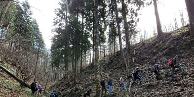 Spacer po lesie w pierwszy dzień kalendarzowej wiosny