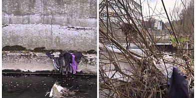 Sprzątanie rzeki Białej – akcja w sobotę