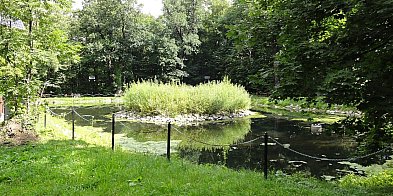 Jaworze odnawia staw w Parku Zdrojowym