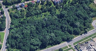 Przebudowa terenów zielonych przy ulicy Stawowej w Bielsku-Białej – wybrano ofertę