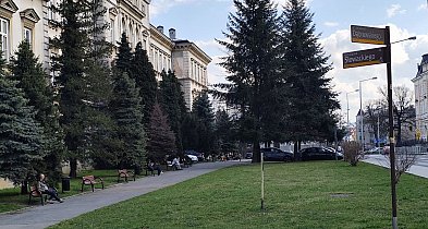 Modernizacja Skweru Pollaka w Bielsku-Białej. 7 firm zgłosiło się do przetargu