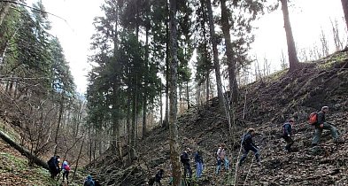Spacer po lesie w pierwszy dzień kalendarzowej wiosny