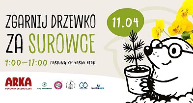 Rozdano już 100 tysięcy sadzonek - czas na kolejne