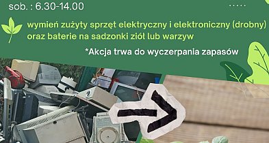 Elektro-Wymianka w PSZOK w Wapienicy. Oddaj elektroodpady i odbierz sadzonki