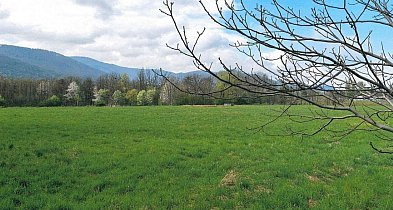 Park zamiast kolejnej zabudowy? Radny pyta o teren przy lotnisku