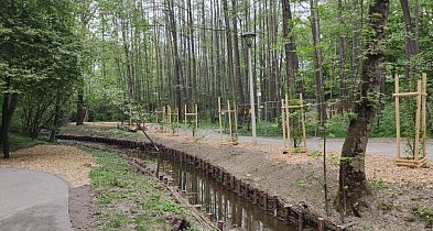 Trwa modernizacja Parku Skarżyńskiego w Bielsku-Białej