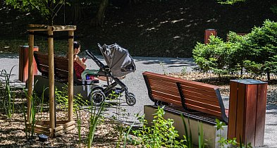 Nowy ogród publiczny przy ulicy Skarżyńskiego już gotowy