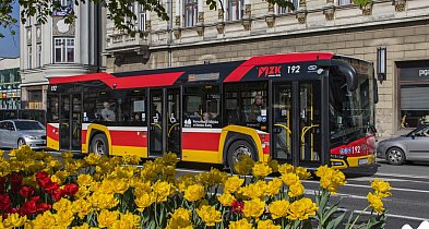 Wakacyjne zmiany w kursowaniu autobusów. Będzie nowa linia nocna i dodatkowe kursy