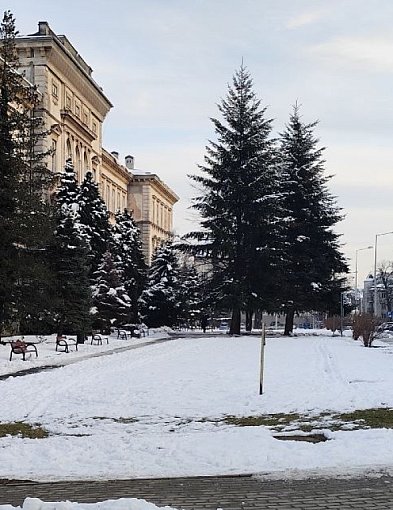 Przygotowania do przebudowy skweru Pollaka przy ulicy Słowackiego