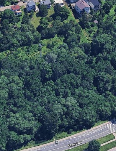 Przebudowa terenów zielonych przy ulicy Stawowej w Bielsku-Białej – wybrano ofertę