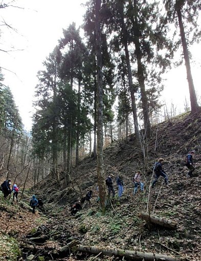 Spacer po lesie w pierwszy dzień kalendarzowej wiosny