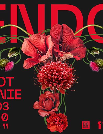 Endometrioza – bezpłatne spotkanie 27 marca