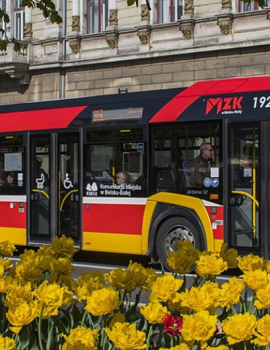 Wakacyjne zmiany w kursowaniu autobusów. Będzie nowa linia nocna i dodatkowe kursy