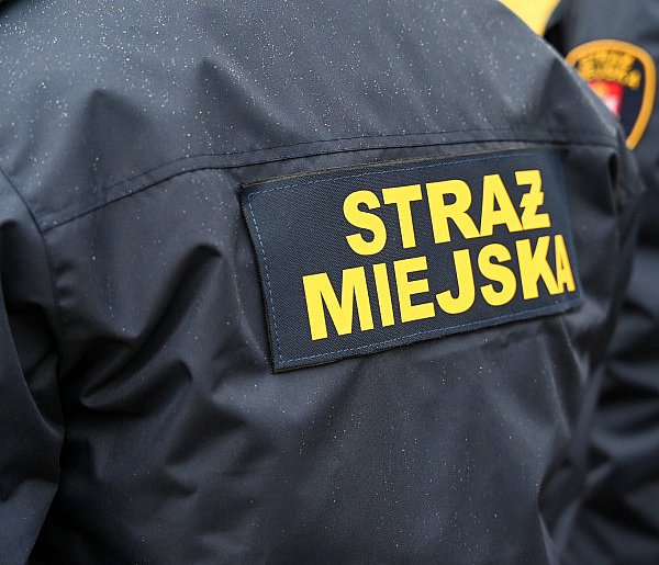 Zapuka strażnik, zapłacisz karę. Ruszyły kontrole w całej Polsce-21708