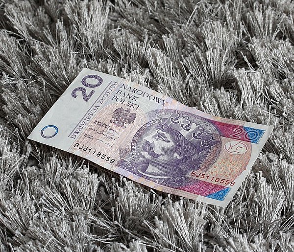 Nowy banknot o nominale 20 zł. Wchodzi do obiegu w tym tygodniu-22120