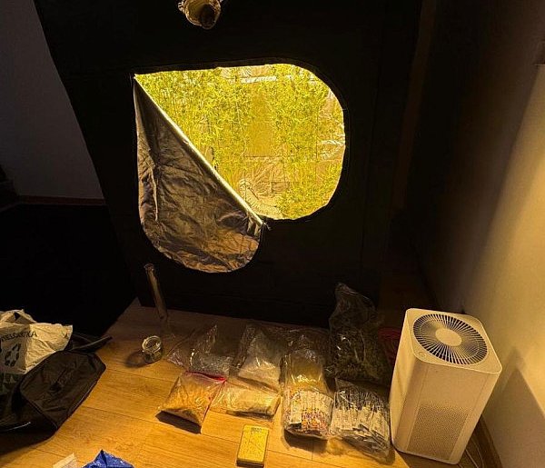 Nowy wydział w akcji. Zlikwidowano plantację i przejęto 5 kg narkotyków-22602