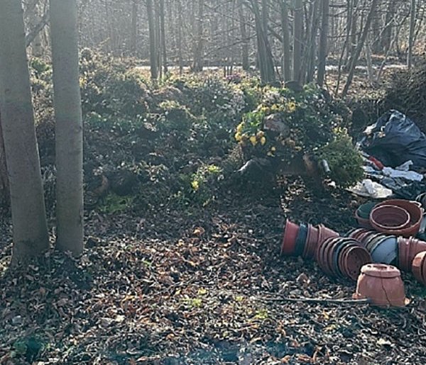 Lipnik: Przyłapany na gorącym uczynku-22806