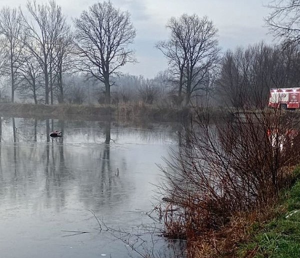 Samochód elektryczny wpadł do stawu w Dankowicach-22878