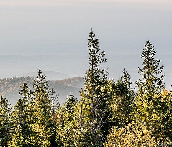 Trudne warunki na beskidzkich szlakach. GOPR apeluje o ostrożność-22984