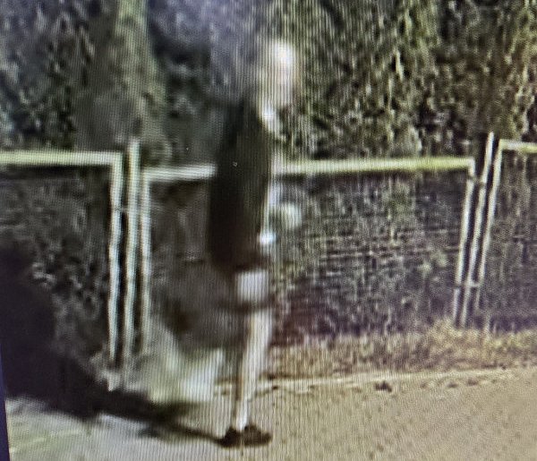 Policja szuka sprawcy nocnego zniszczenia samochodów-23239