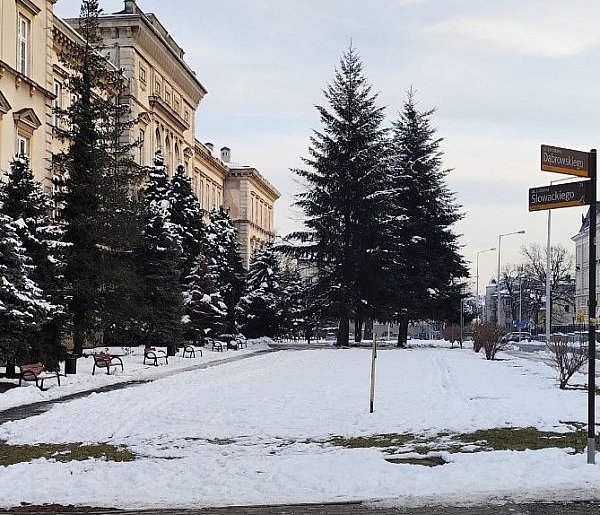 Przygotowania do przebudowy skweru Pollaka przy ulicy Słowackiego