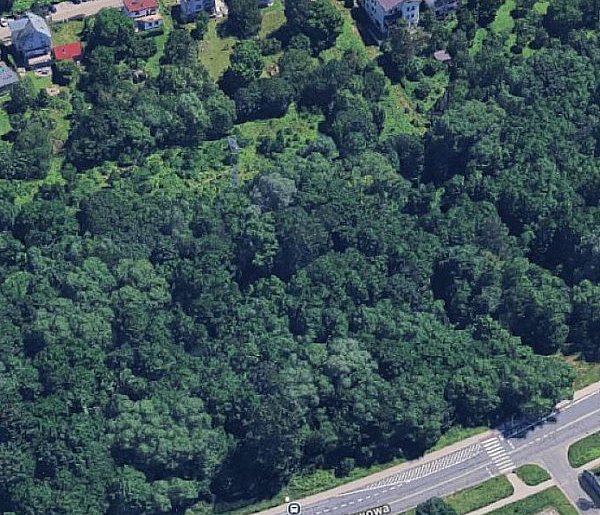 Przebudowa terenów zielonych przy ulicy Stawowej w Bielsku-Białej – wybrano ofertę