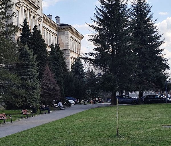 Modernizacja Skweru Pollaka w Bielsku-Białej. 7 firm zgłosiło się do przetargu