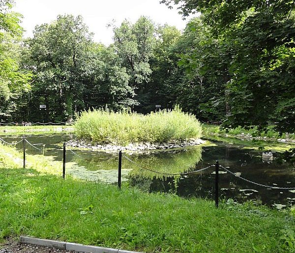 Rewitalizacja stawu w Parku Zdrojowym w Jaworzu: prace ruszyły