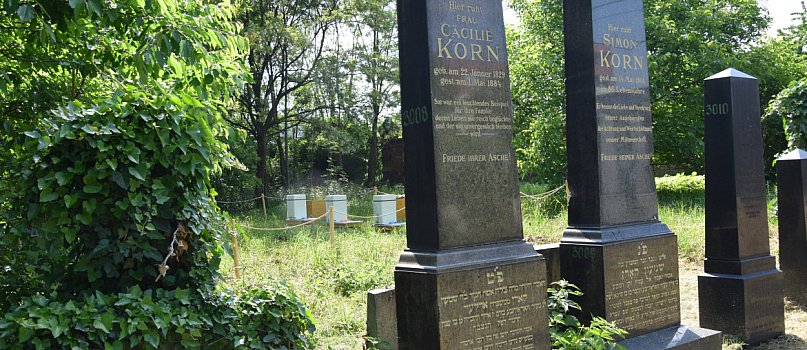 Oprowadzanie po cmentarzu żydowskim - Jacek Proszyk-1057