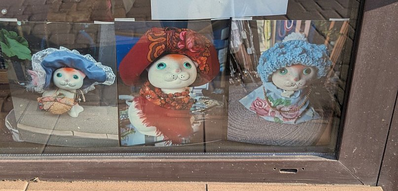 Z witryny sklepowej zniknęła wiekowa kotka