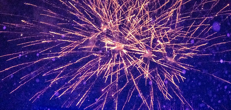 Nie dla sylwestrowej pirotechniki. Mieszkańcy Bielska-Białej wystosowali petycję