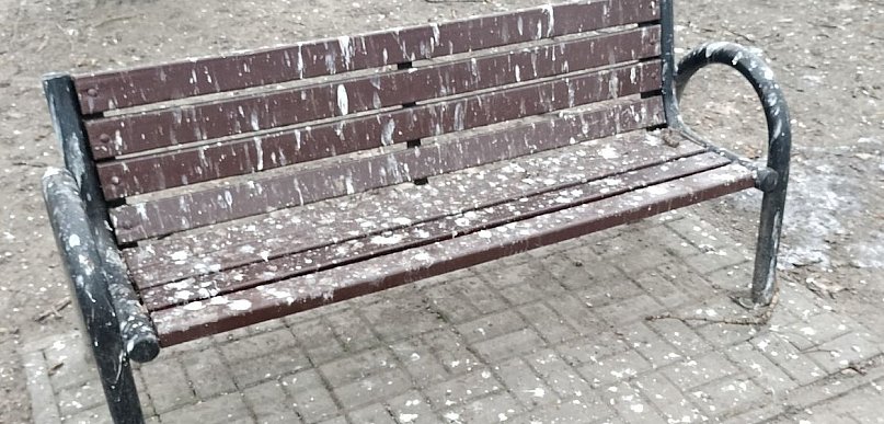 Komorowice Krakowskie: odchody kawek na placu zabaw