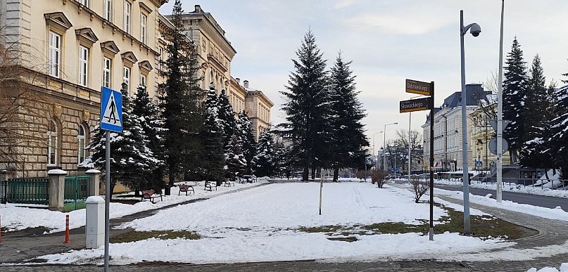 Przygotowania do przebudowy skweru Pollaka przy ulicy Słowackiego