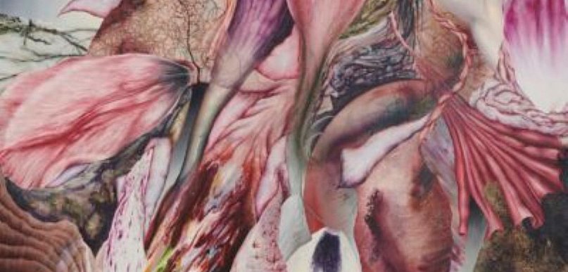 PSK2026: UKORZENIENIE w Willi Sixta