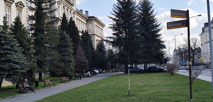 Modernizacja Skweru Pollaka w Bielsku-Białej. 7 firm zgłosiło się do przetargu