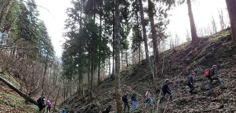 Spacer po lesie w pierwszy dzień kalendarzowej wiosny