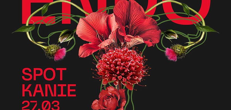 Endometrioza – bezpłatne spotkanie 27 marca