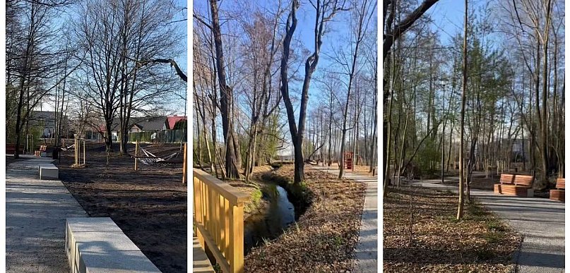 Nowa zielono-niebieska infrastruktura przy ul. Lajkonika