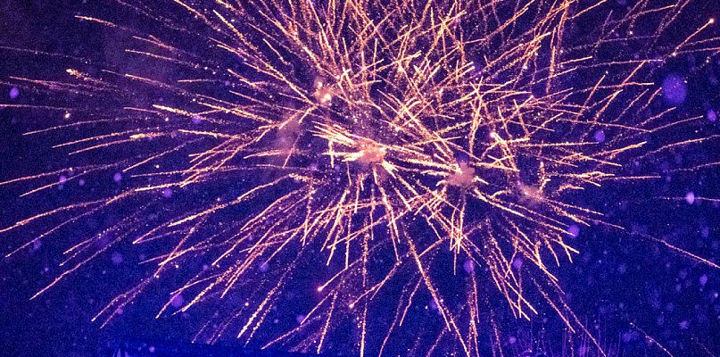 Nie dla sylwestrowej pirotechniki. Mieszkańcy Bielska-Białej wystosowali petycję