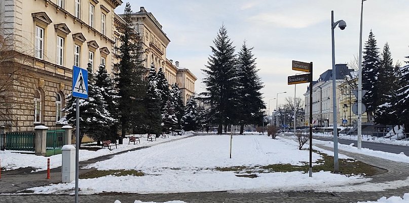 Przygotowania do przebudowy skweru Pollaka przy ulicy Słowackiego