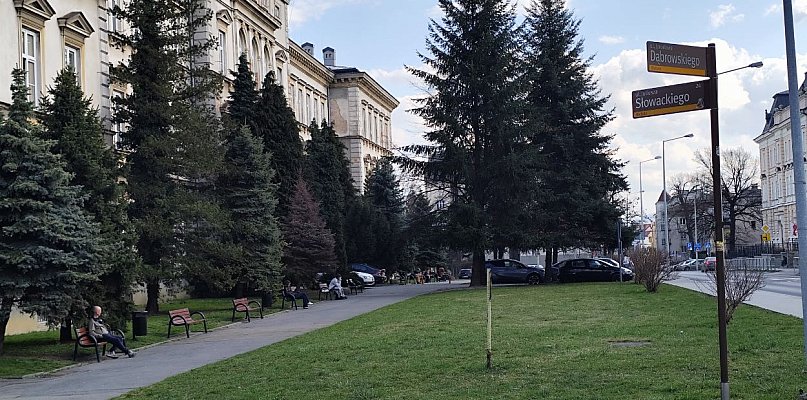 Modernizacja Skweru Pollaka w Bielsku-Białej. 7 firm zgłosiło się do przetargu