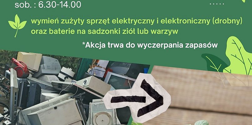 Elektro-Wymianka w PSZOK w Wapienicy. Oddaj elektroodpady i odbierz sadzonki