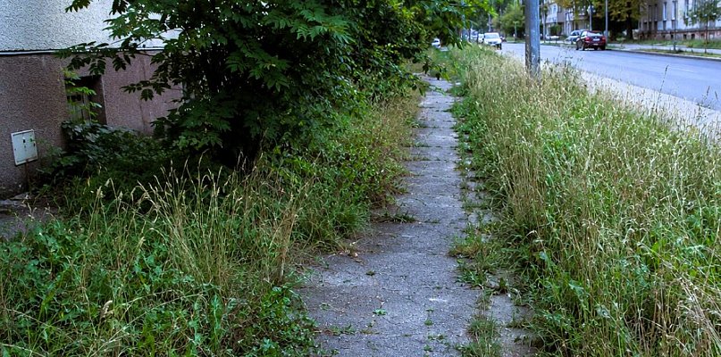 Bielsko-Biała: MZD wydał komunikat o koszeniu traw przy drogach i chodnikach